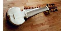 sarod2